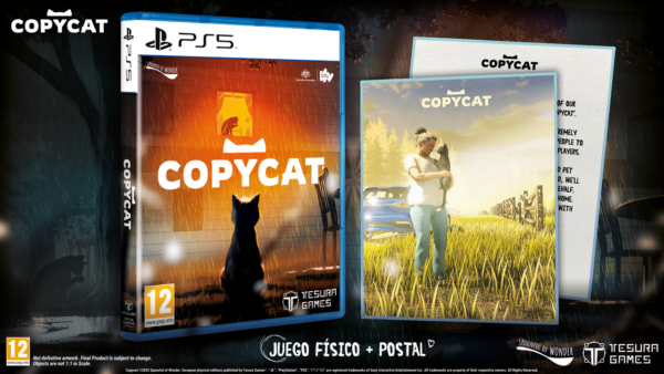 Copycat PS5