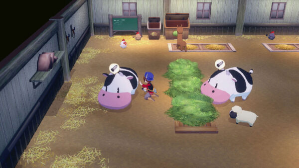 Story of Seasons: Grand Bazaar SWITCH