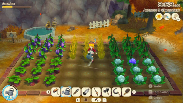 Story of Seasons: Grand Bazaar SWITCH