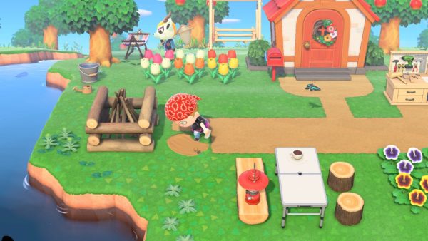 Animal Crossing New Horizons Switch 2 Edition