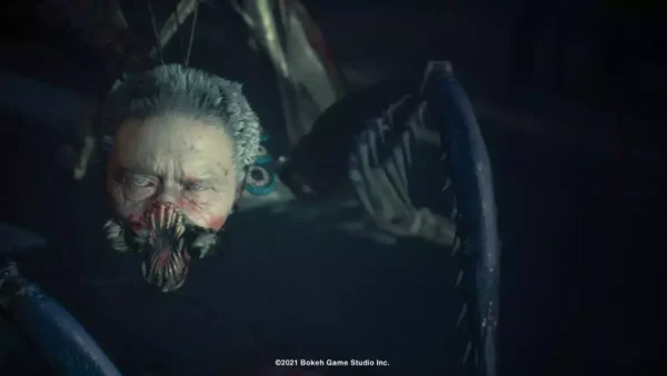 Slitterhead PS5 (Importación)