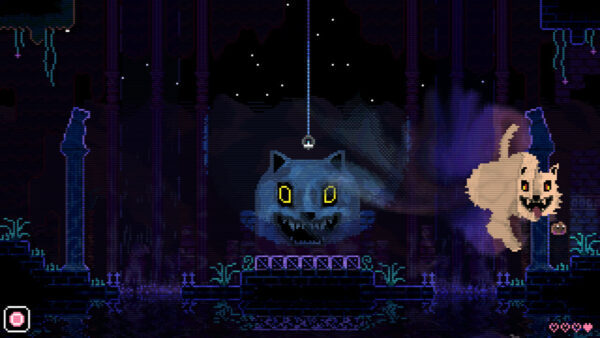 Animal Well PS5 (Importación)