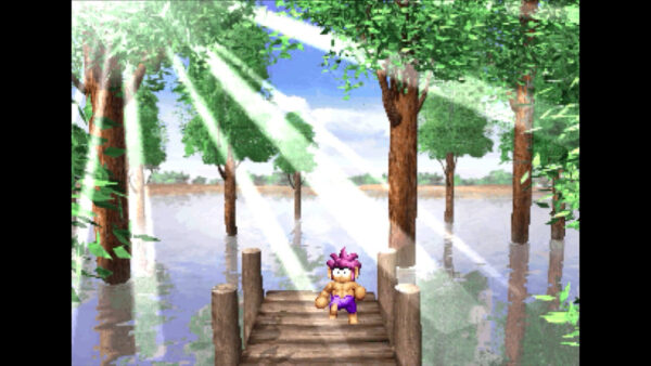 Tomba! Special Edition SWITCH (Importación)
