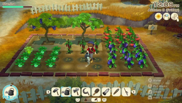 STORY OF SEASONS: Grand Bazaar PS5
