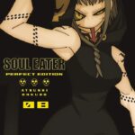 Soul Eater Perfect Edition Nº08 de 17