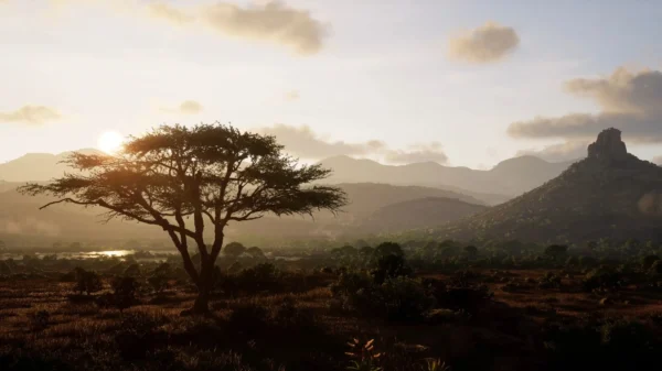 RESERVA Way of the Hunter 2