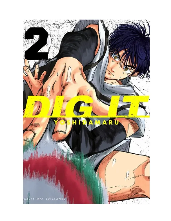 Dig It Nº02