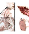 Lampara Stranger Things Demogorgon