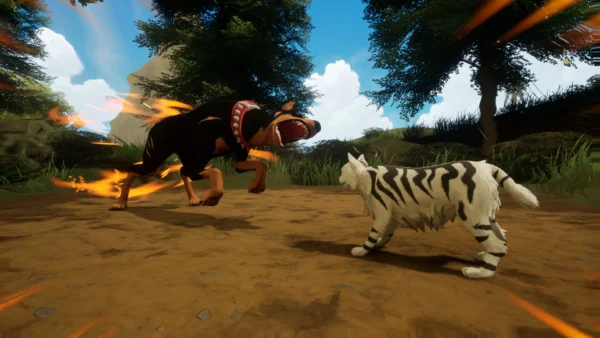 RESERVA Warrior Cats Clans of the Forest