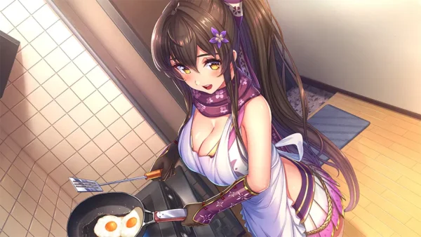 Days Collection NinNin Heroines (Importación) SWITCH