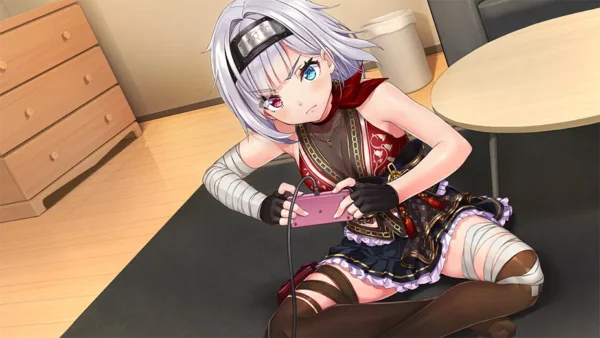 Days Collection NinNin Heroines (Importación) SWITCH