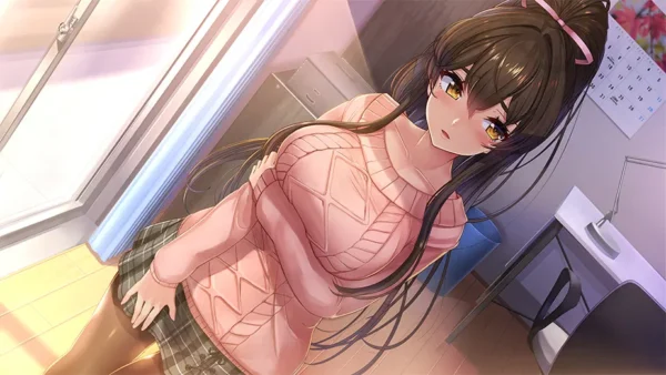 Days Collection NinNin Heroines (Importación) SWITCH